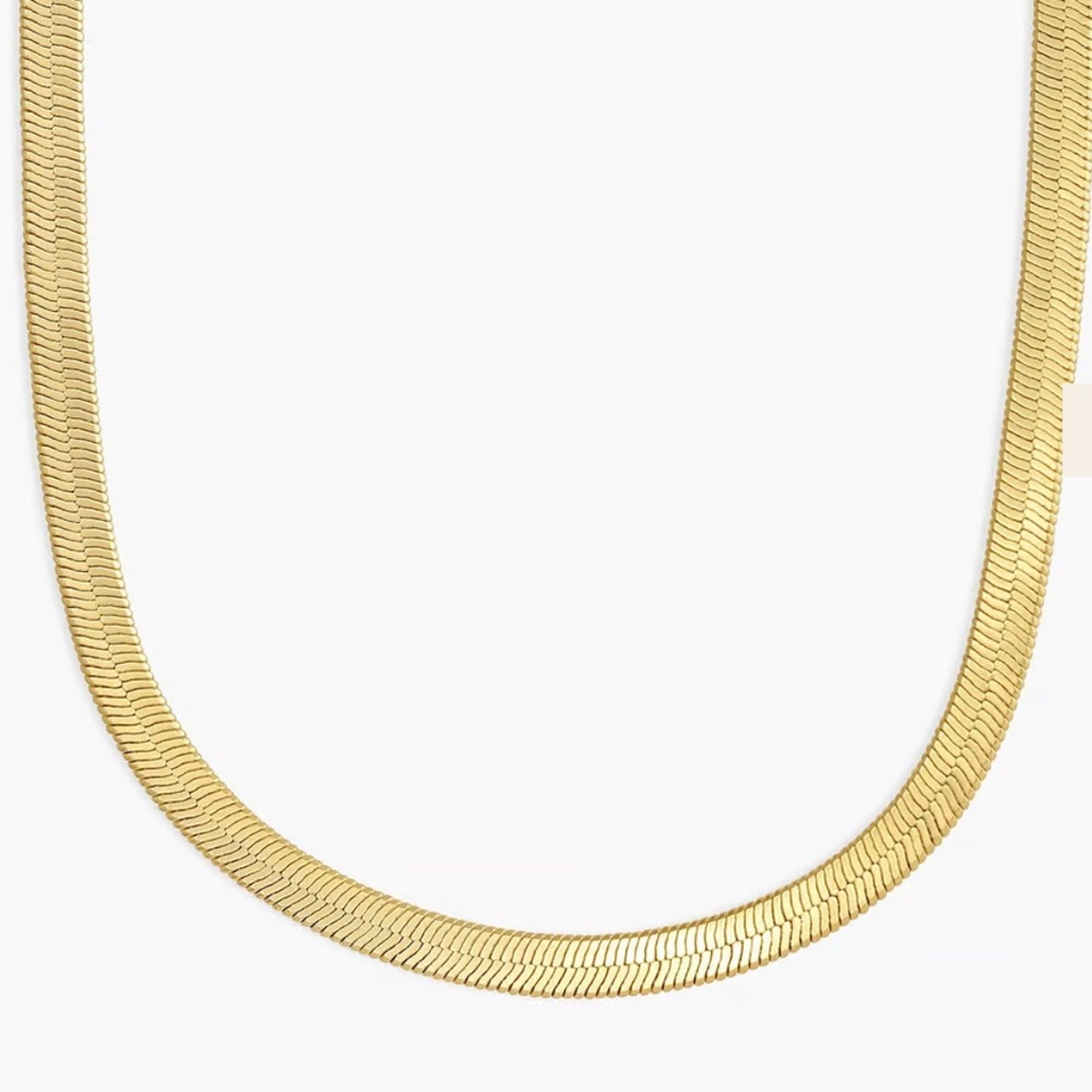 NWT Gorjana Mini Venice Necklace